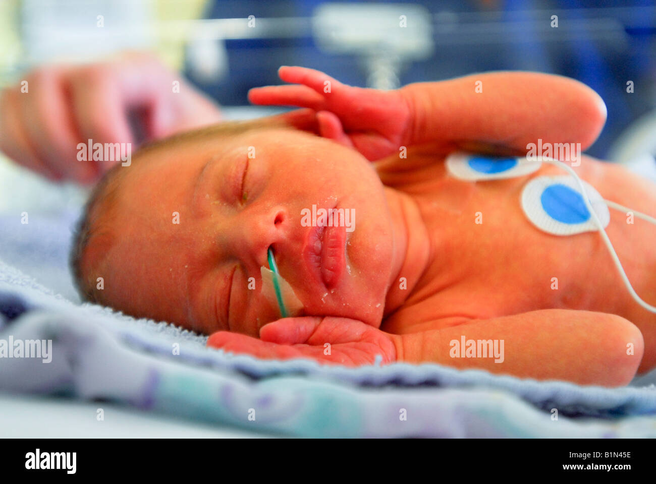 Tiny Premature Baby In Incubator Banque D Image Et Photos Alamy