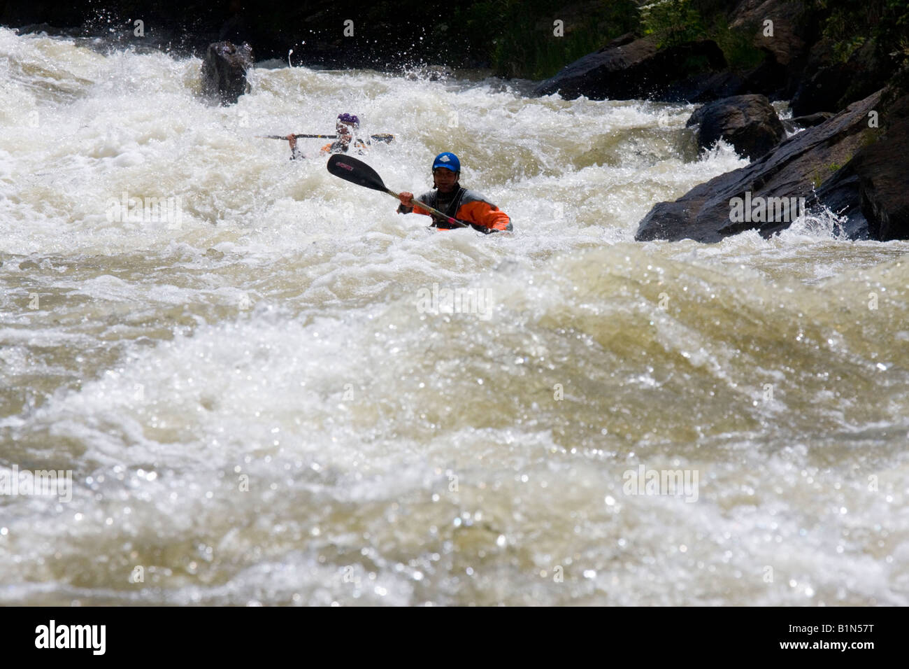 Les kayakistes dans le ruisseau clair de l'eau vive Banque D'Images