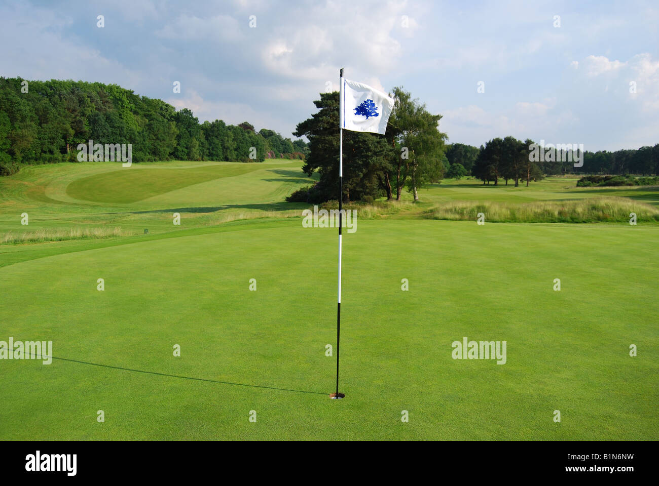 Le drapeau vert, Sunningdale Golf Course, Sunningdale, Berkshire, Angleterre, Royaume-Uni Banque D'Images