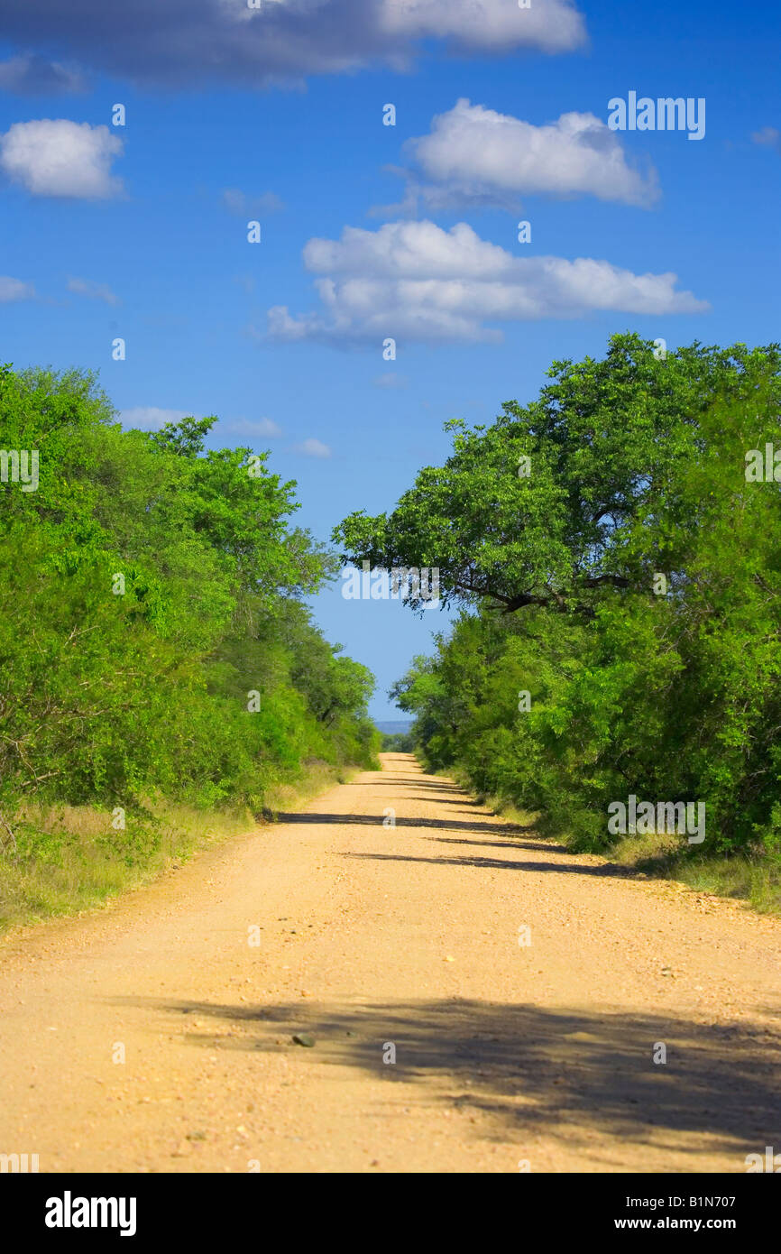 Route de terre en Kruger National Park Banque D'Images