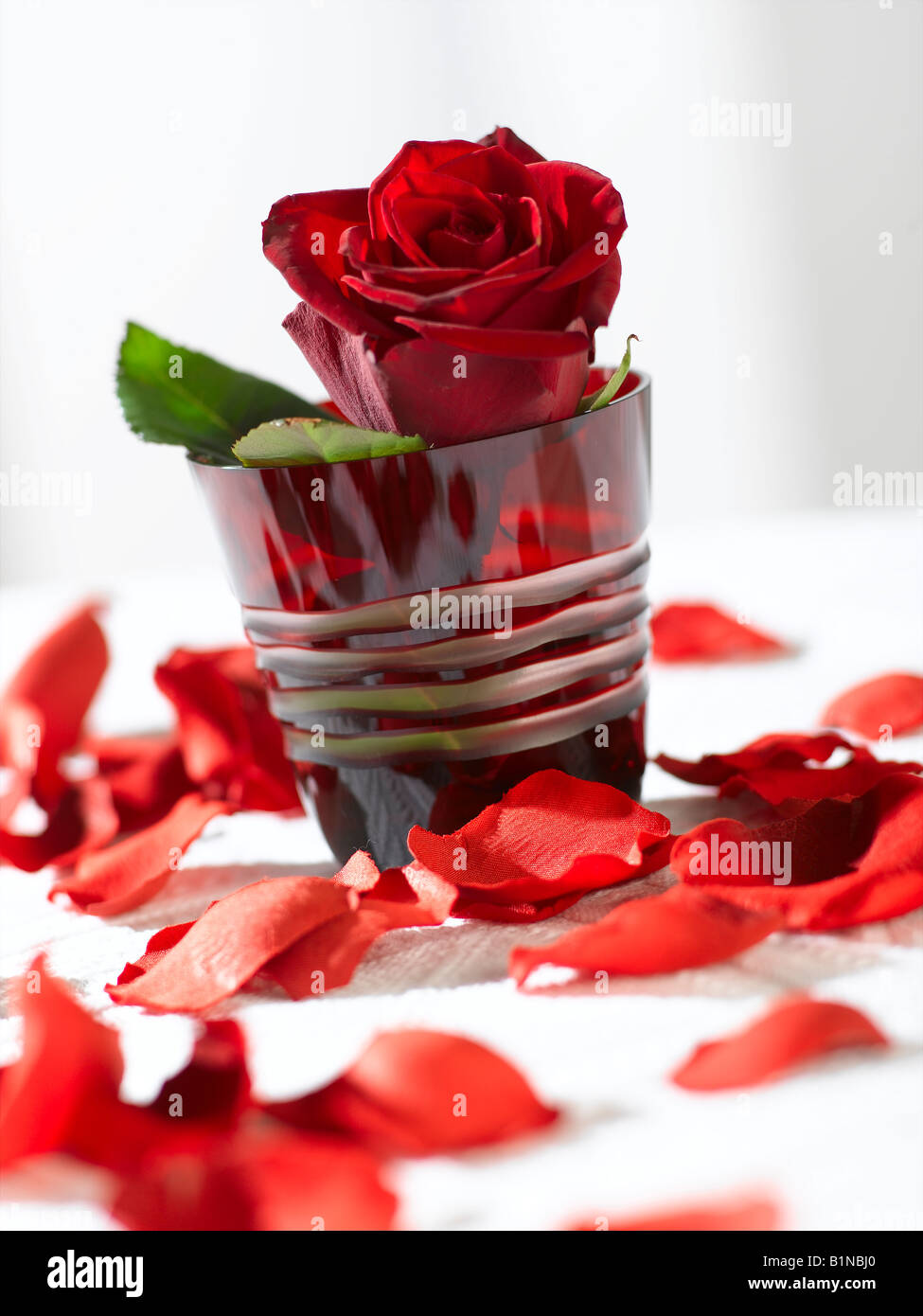 Rose rouge dans un verre rouge Banque D'Images