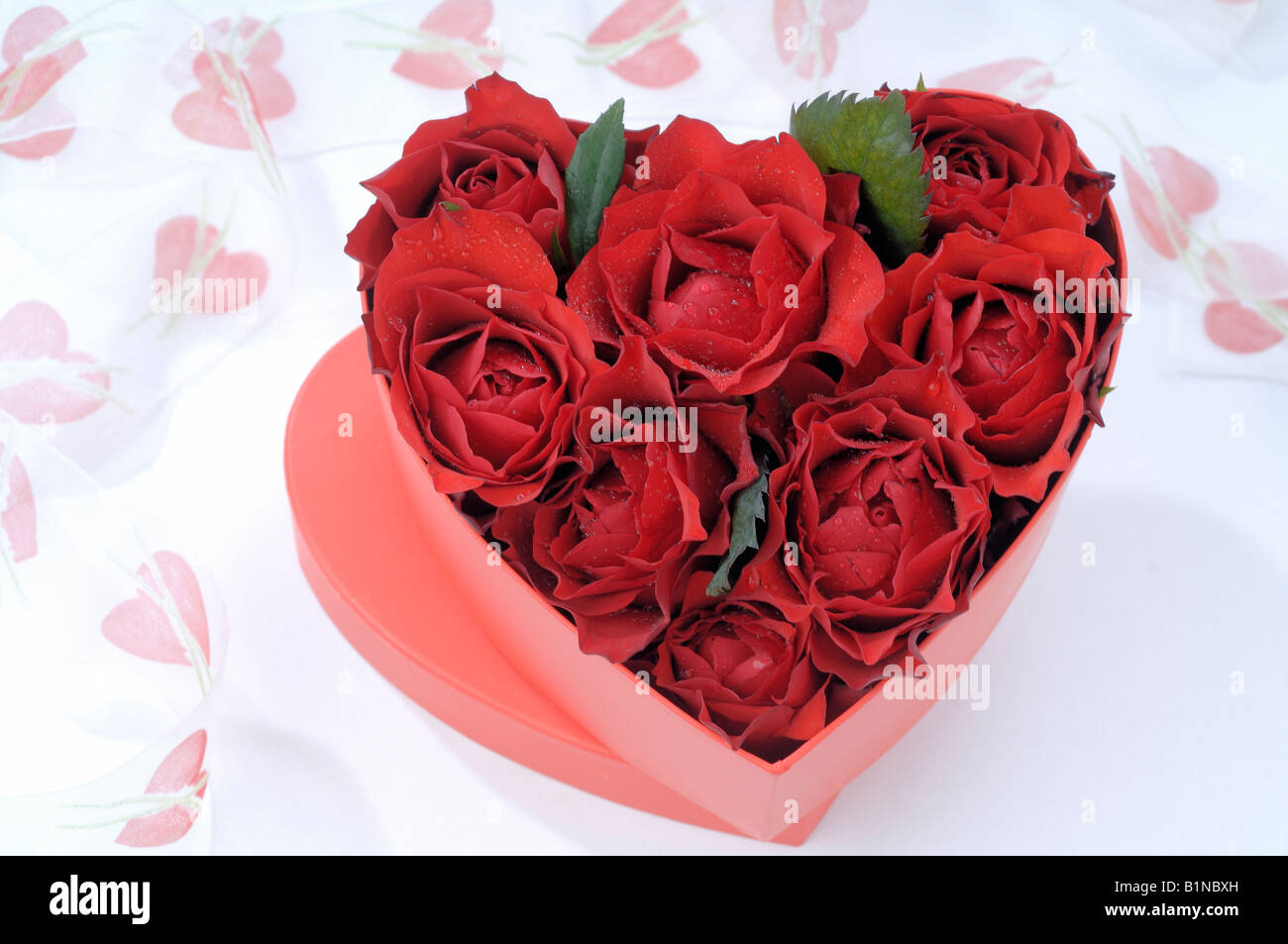 Roses rouges dans une boîte de décoration Banque D'Images