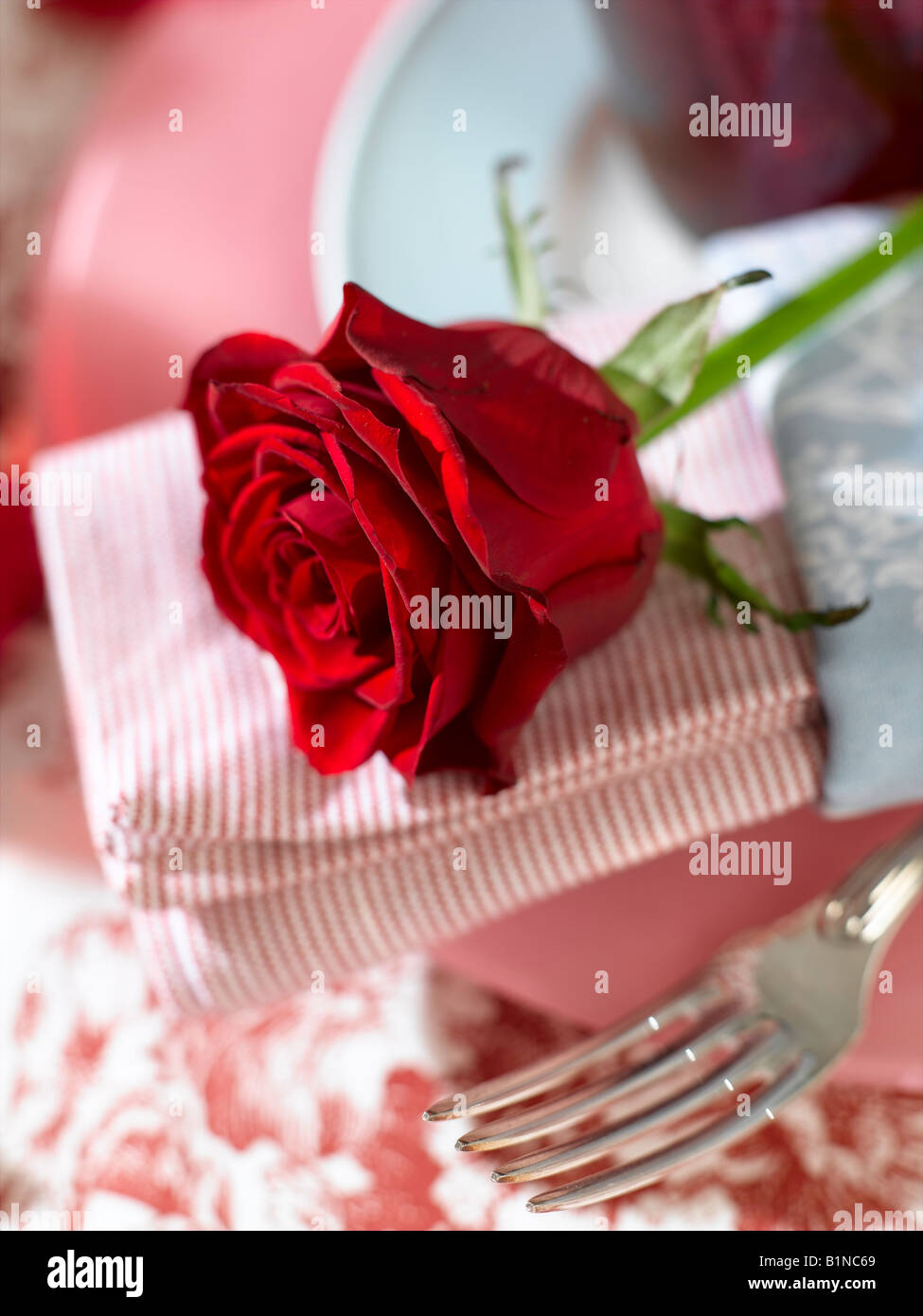 Serviette et une rose rouge Banque D'Images