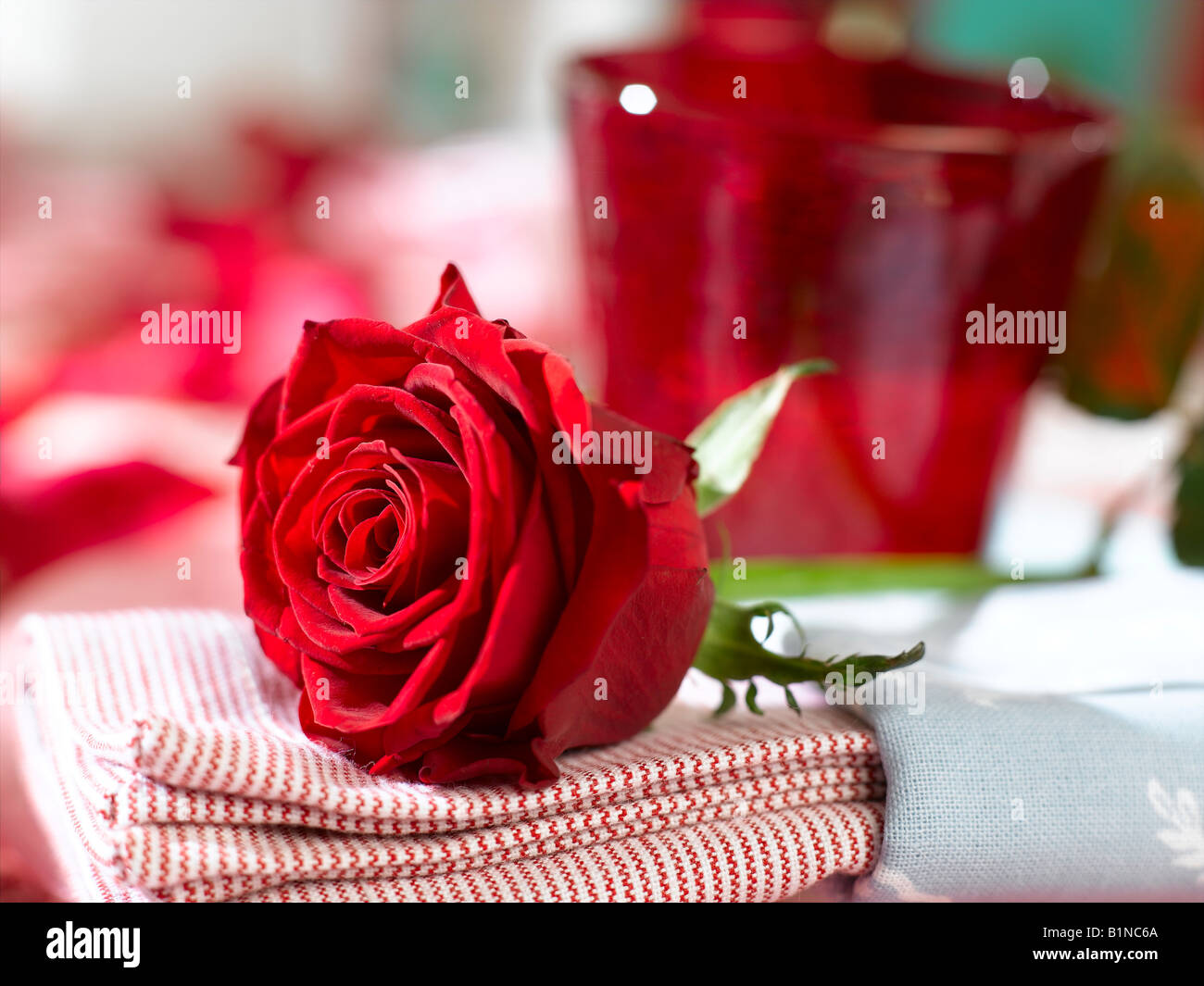 Place avec un verre de rouge et une rose rouge Banque D'Images