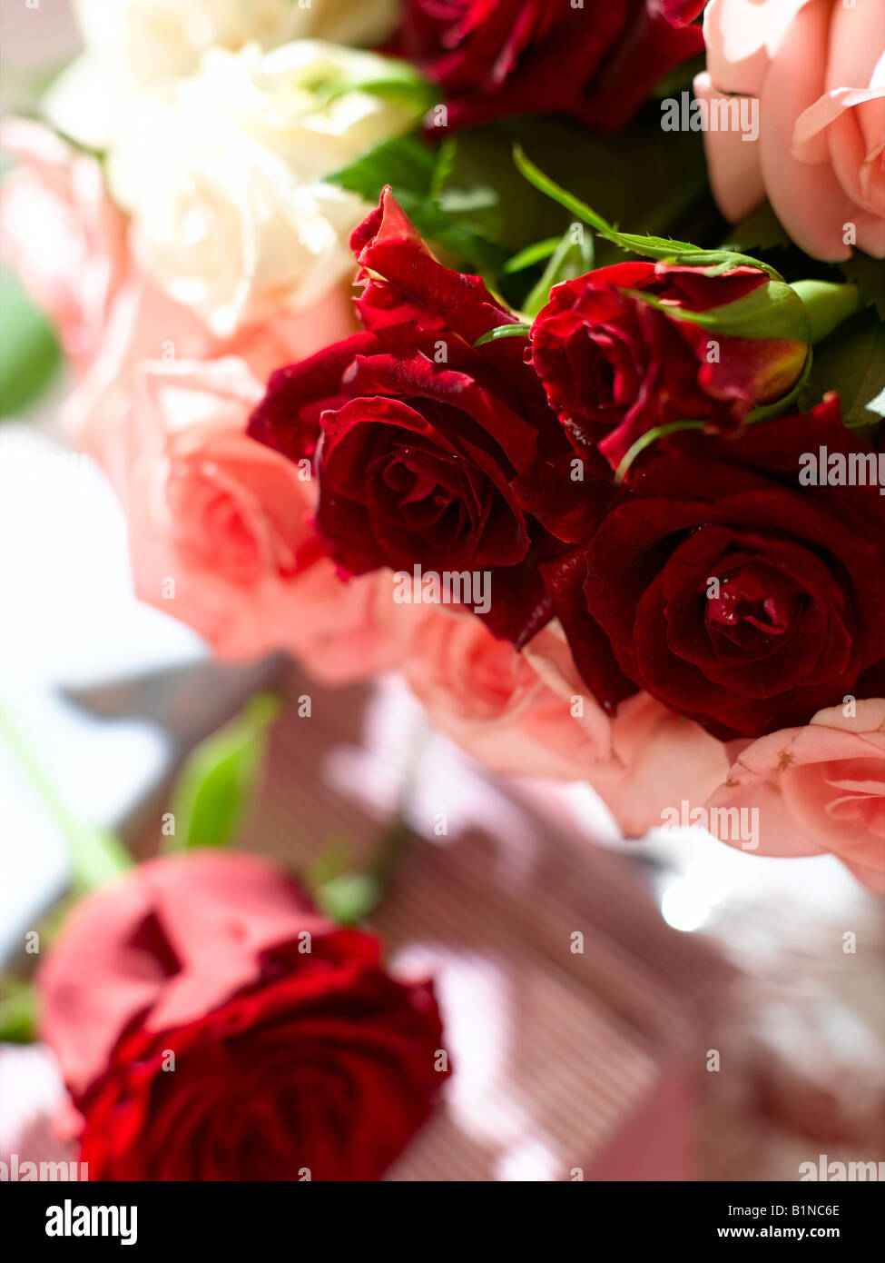 Arrangement de Rose, Close up Banque D'Images