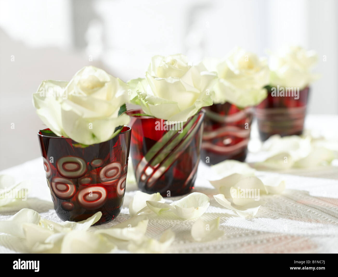 Les roses blanches en rouge verres Banque D'Images