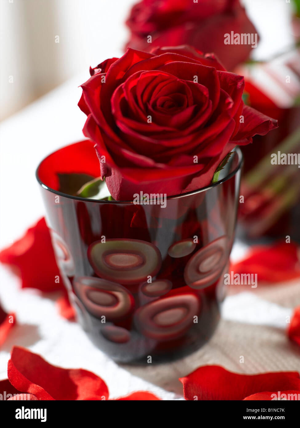 Rose rouge dans un verre rouge Banque D'Images