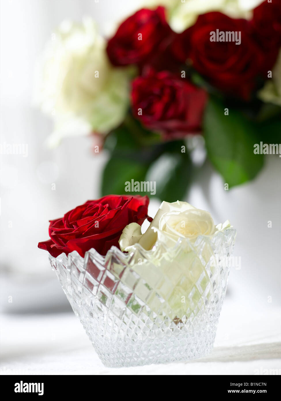 Rose rouge dans un verre de cristal Banque D'Images