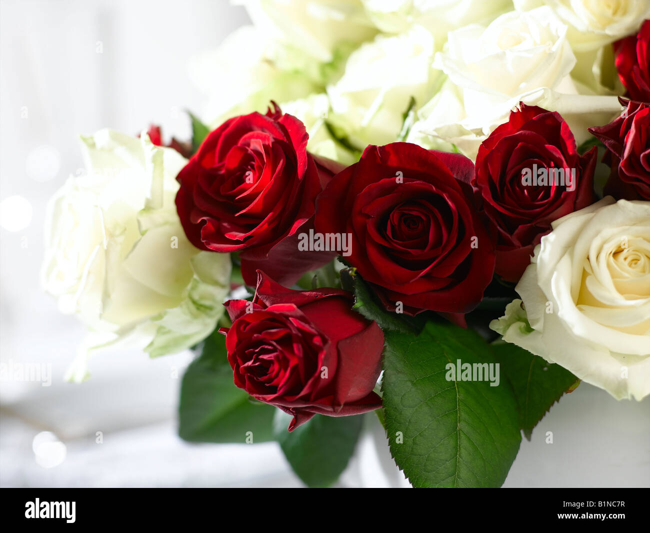 Bouquet de roses blanches et rouges Banque D'Images