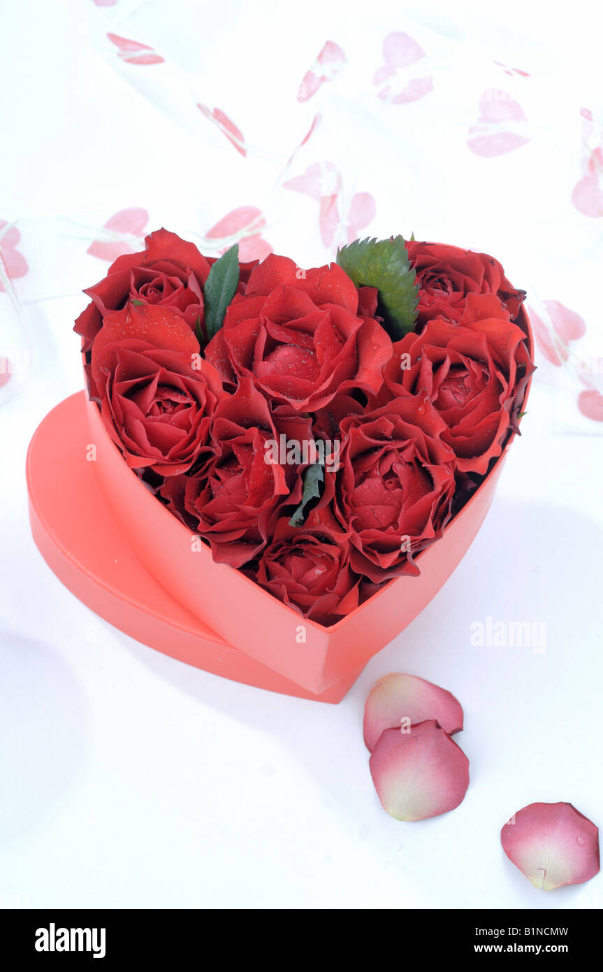 Boîte en forme de coeur avec des fleurs rose rouge Banque D'Images