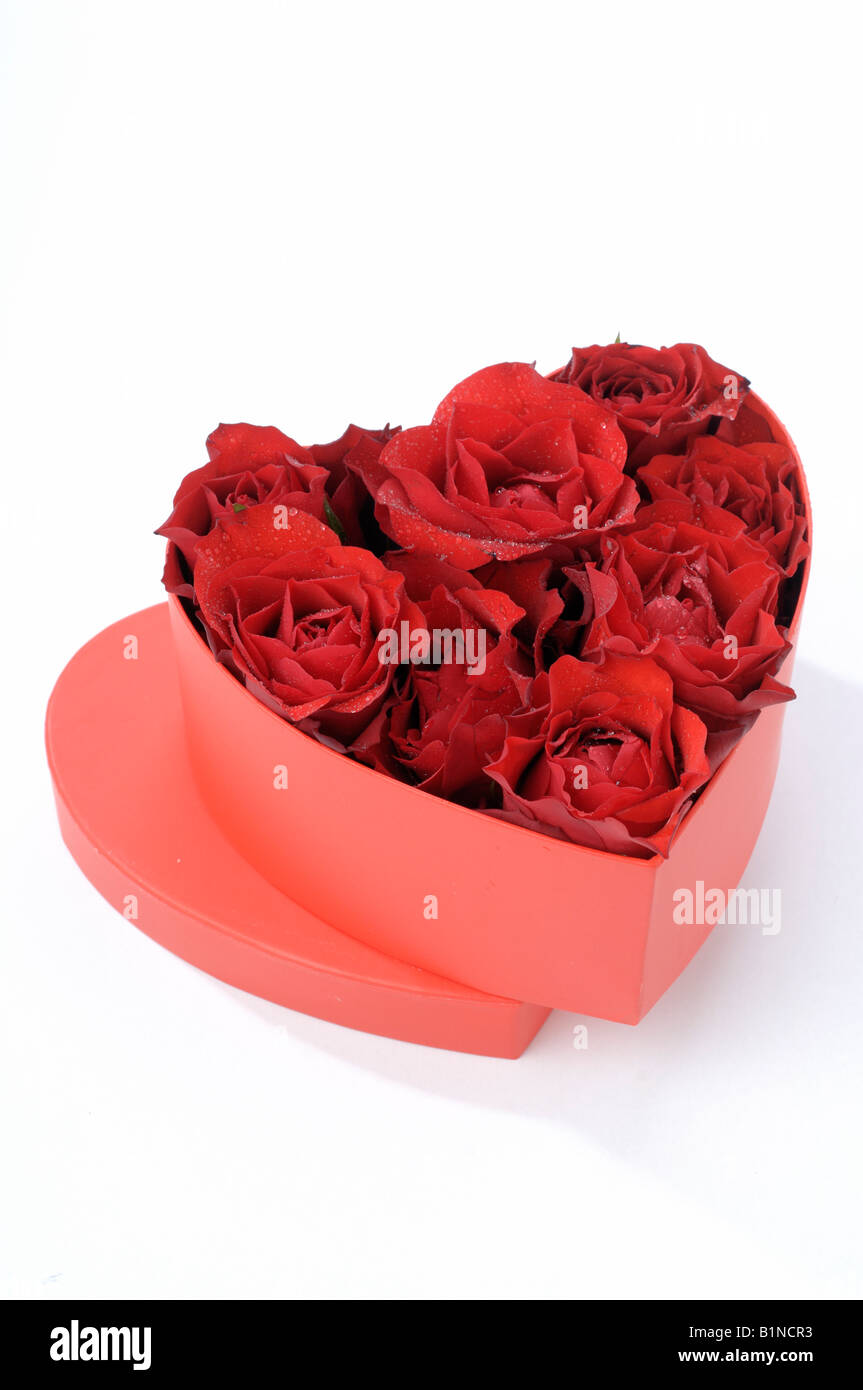 Boîte en forme de coeur avec des fleurs rose rouge Banque D'Images