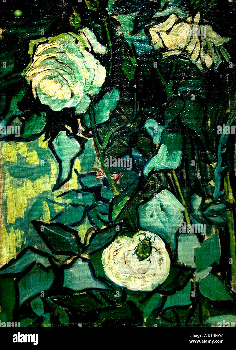 Vincent van Gogh 1853 roses 1890 1890 Pays-Bas Hollande Dutch Banque D'Images
