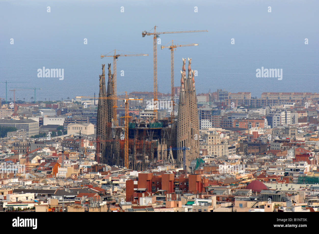 La cathédrale Sagrada Familia, Barcelone, Espagne Banque D'Images