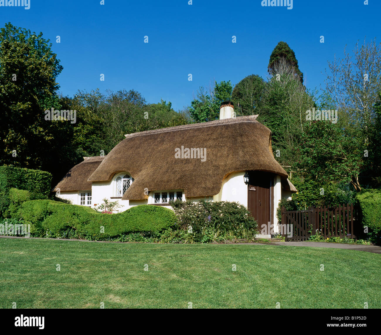 Un chalet de chaume dans le village de Selworthy, sur le bord de Exmoor, Somerset, Angleterre Banque D'Images