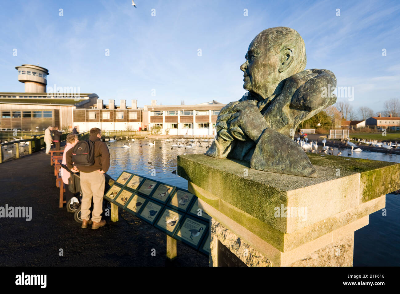 Sculpture de Sir Peter Scott au Wildfowl & Wetlands Trust Slimbridge Wetland Centre, Gloucestershire UK Banque D'Images