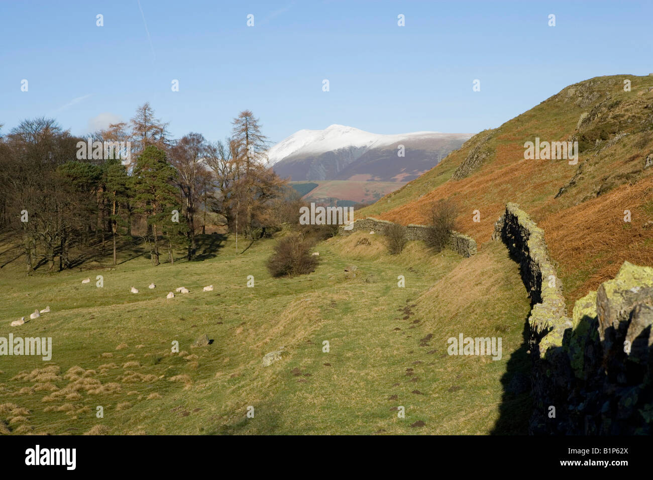 Mur de pierres sèches et de Cumbria Fells Banque D'Images