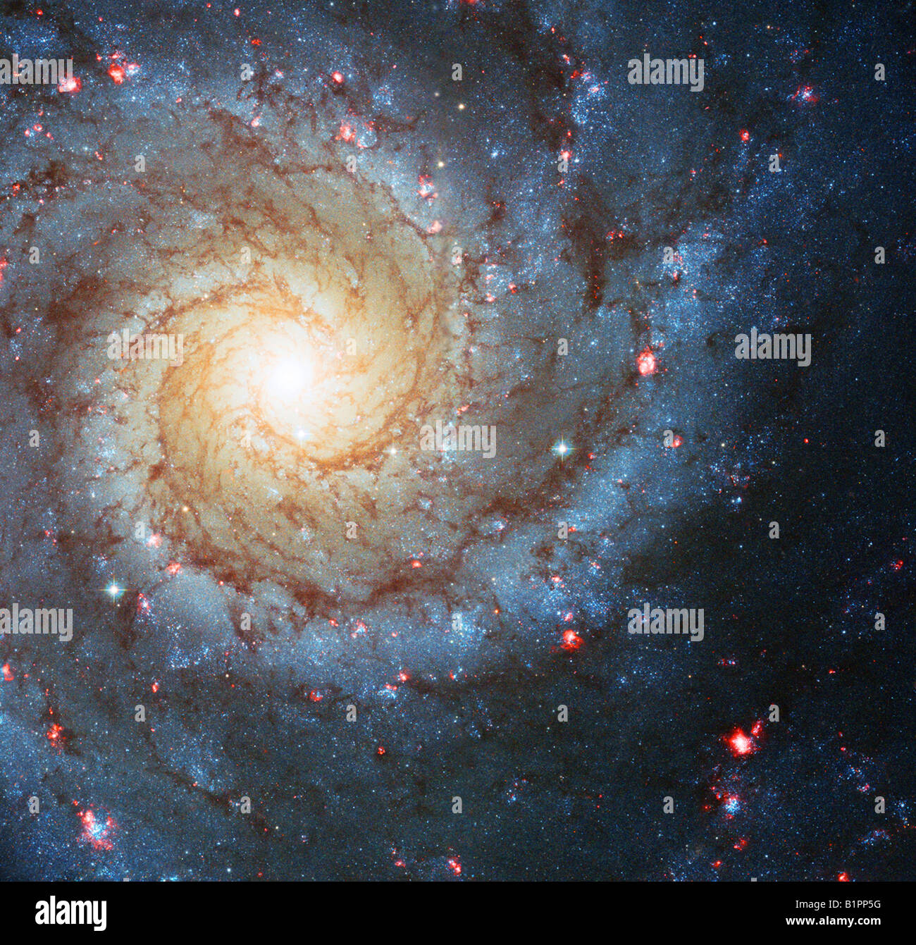 Galaxie spirale M74 i Banque D'Images