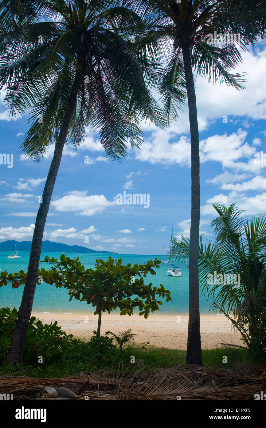 Plage tropicale avec bateaux de croisière ancrés Banque D'Images