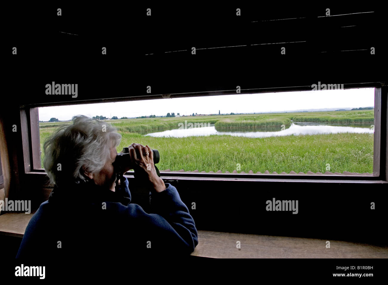 L'observation des oiseaux de la réserve d'oiseaux RSPB masquer Freiston Shore Lincolnshire UK Banque D'Images