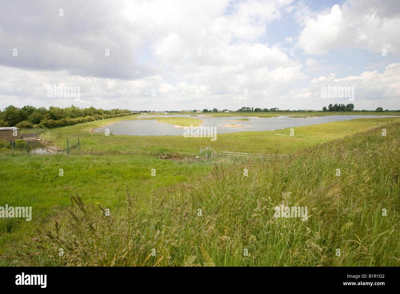 Le lagon des marées d'oiseaux RSPB réserver Freiston Shore Lincolnshire UK Banque D'Images