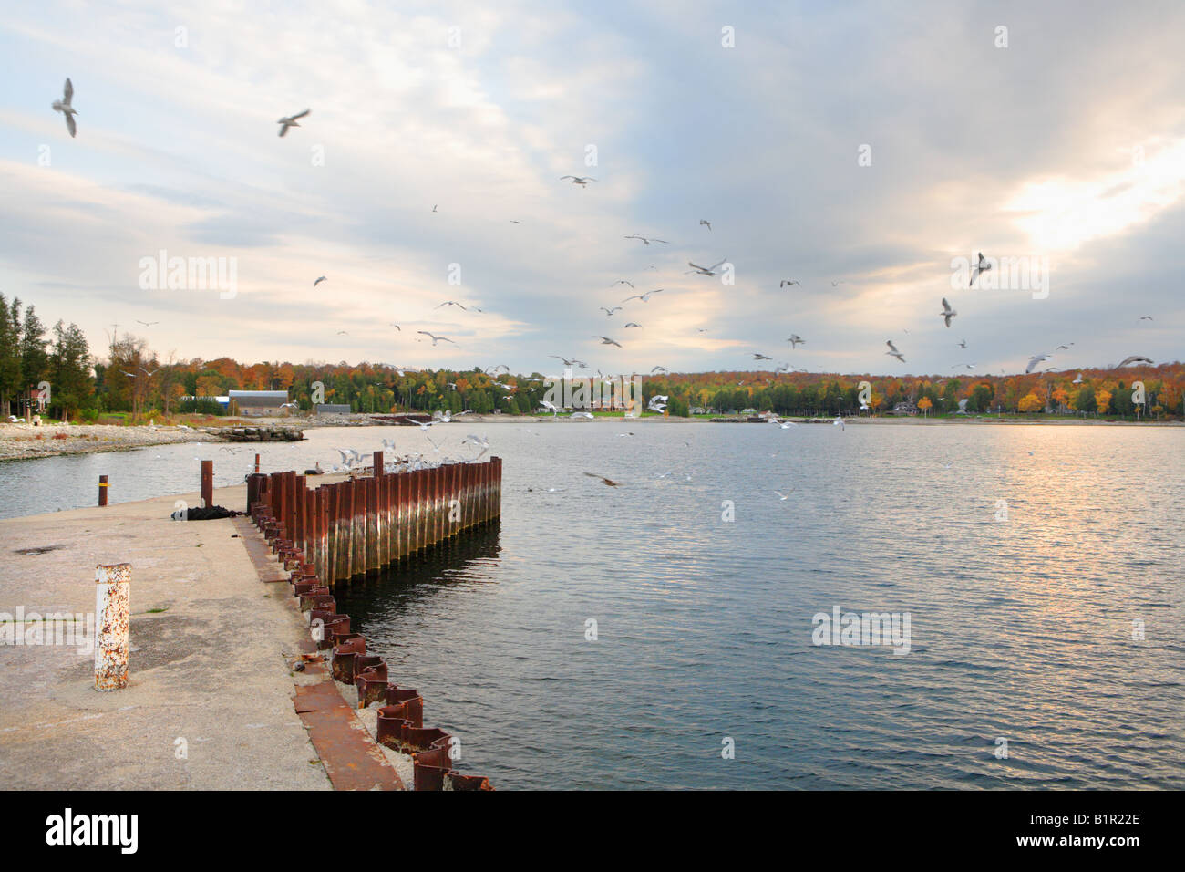 Les pêcheurs de mouettes s'embarcadère de branchies ROCK DOOR COUNTY WISCONSIN USA EN AUTOMNE Banque D'Images
