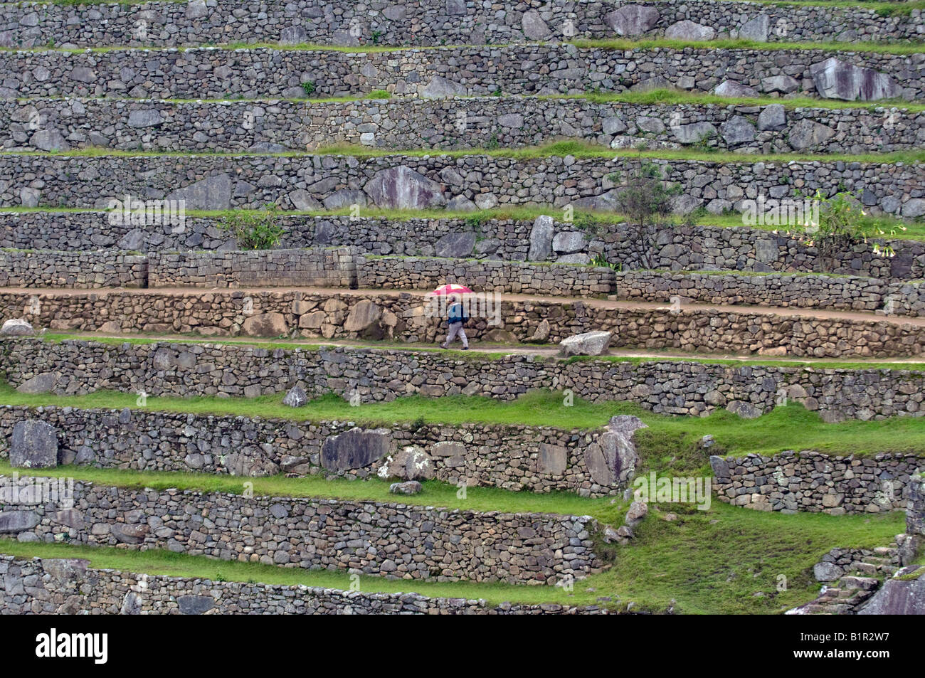 'Morning Mist au Machu Picchu" Banque D'Images