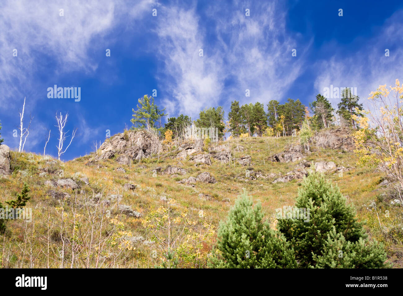 Paysage d'automne Banque D'Images