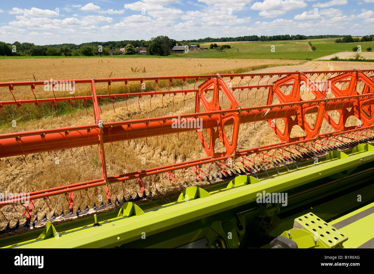 Vue depuis la cabine du conducteur de nouveau 'rendmt Lexion Claas 540' à la moissonneuse-batteuse, sud-Touraine, France. Banque D'Images