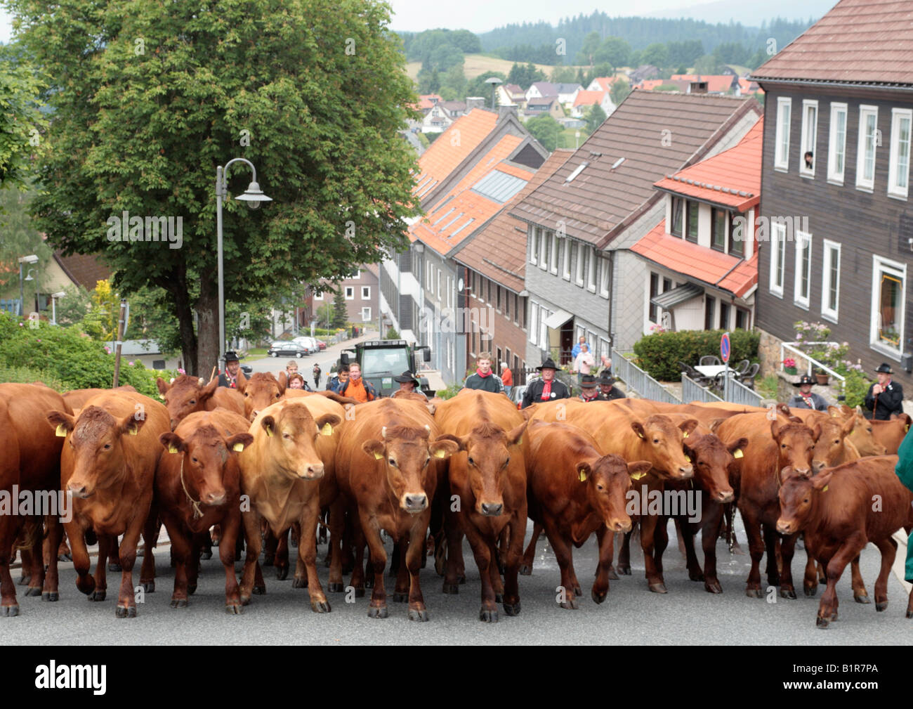 Festival d'été à Bad Sachsa dans les montagnes du Harz en Allemagne du Nord Banque D'Images