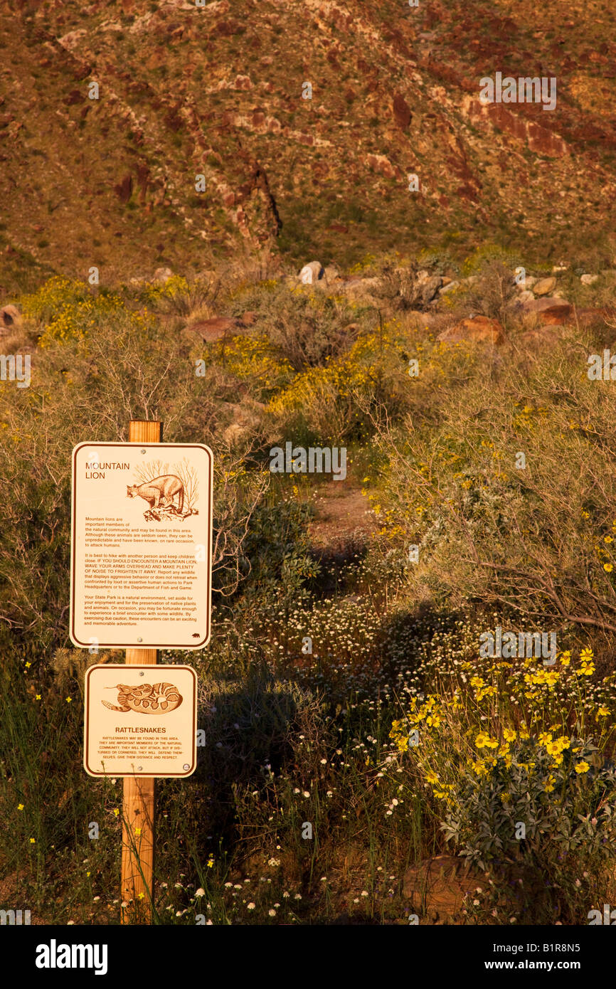 Panneau d'avertissement pour snake et puma à Anza Borrego Borrego Palm Canyon Desert State Park en Californie Banque D'Images
