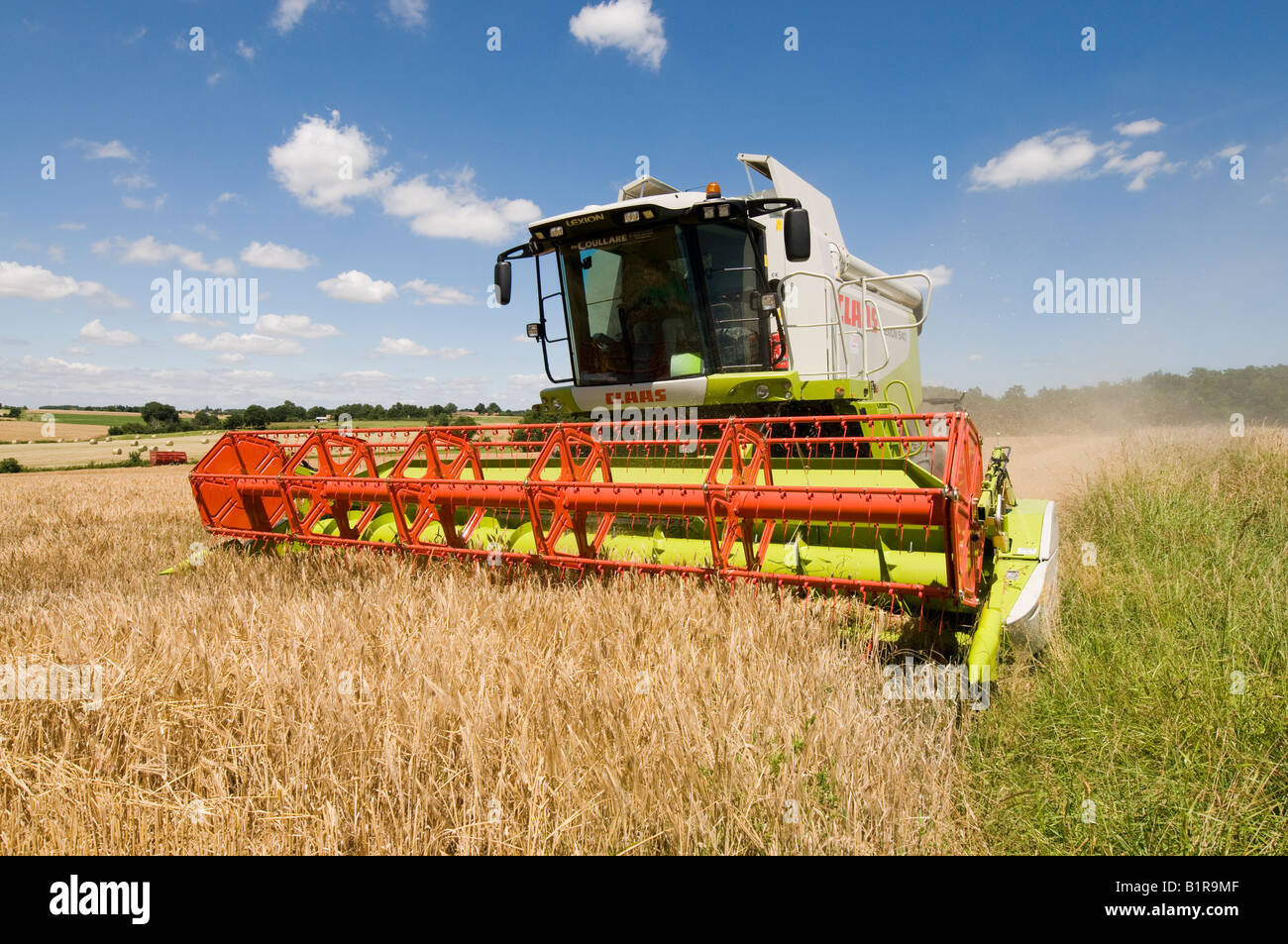 Première sortie du nouveau 'rendmt Lexion Claas 540' à la moissonneuse-batteuse, sud-Touraine, France. Banque D'Images