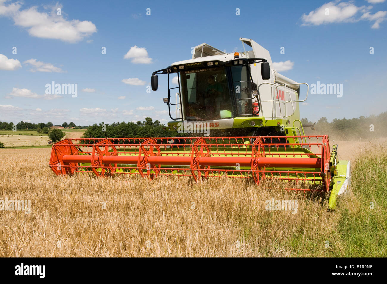 Première sortie du nouveau 'rendmt Lexion Claas 540' à la moissonneuse-batteuse, sud-Touraine, France. Banque D'Images