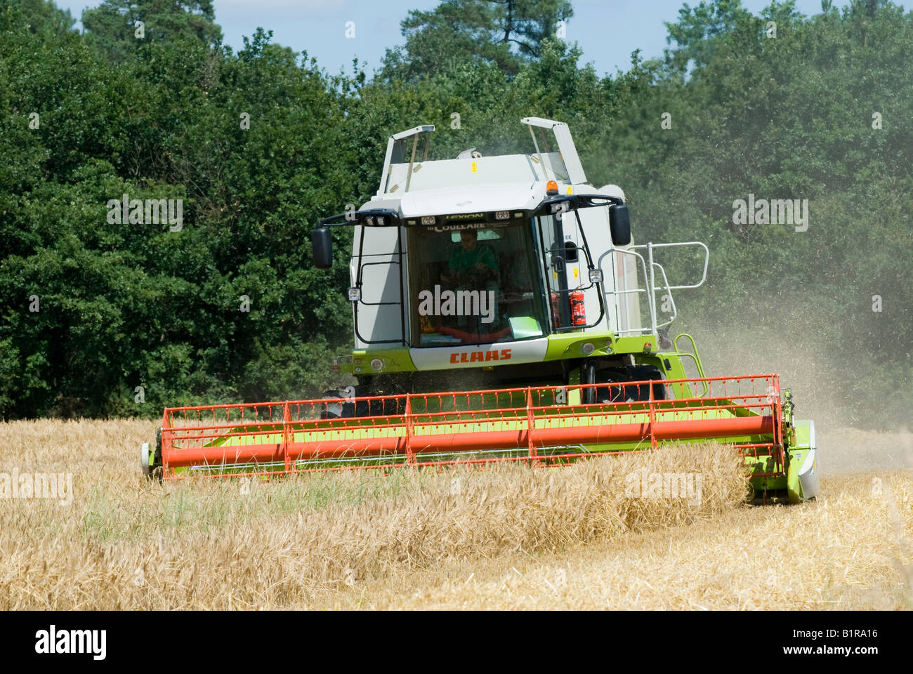 Première sortie du nouveau 'rendmt Lexion Claas 540' à la moissonneuse-batteuse, sud-Touraine, France. Banque D'Images