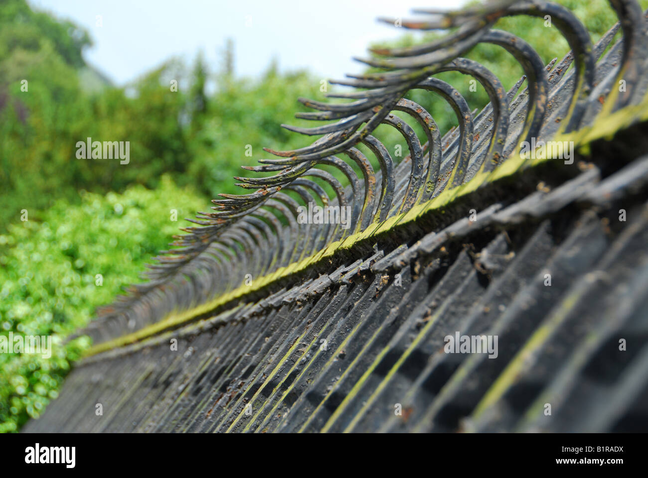 Château d'Alnwick garde-corps Banque D'Images