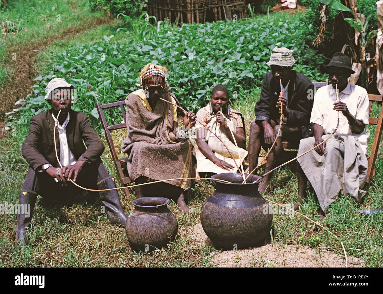 Nandi les hommes et les femmes prendre un verre d'un breuvage de bière de mil aspiré au travers de la paille longue comme le rotin à partir d'un grand pot en argile Kenya Banque D'Images