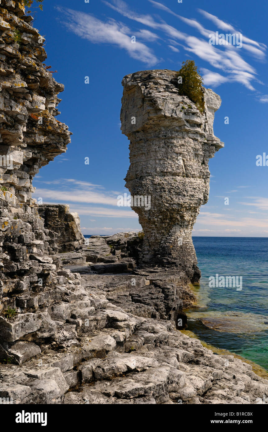 Seastack important de l'escarpement du Niagara sur la rive de l'île Flowerpot Baie Georgienne, le lac Huron Bruce Peninsula Ontario Canada Banque D'Images