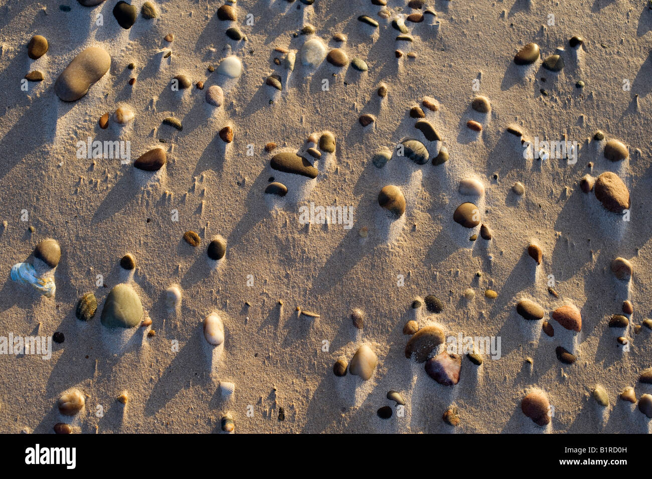 Du sable et de cailloux sur une plage de findhorn venteux au coucher du soleil. L'Écosse. Beach abstract pattern Banque D'Images
