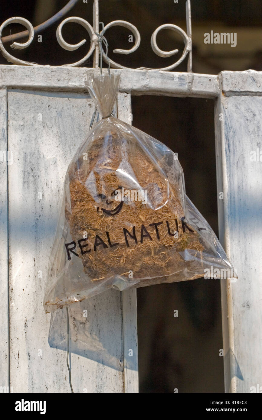 Les excréments d'éléphants dans un sac en plastique, du vrai Nature Banque D'Images