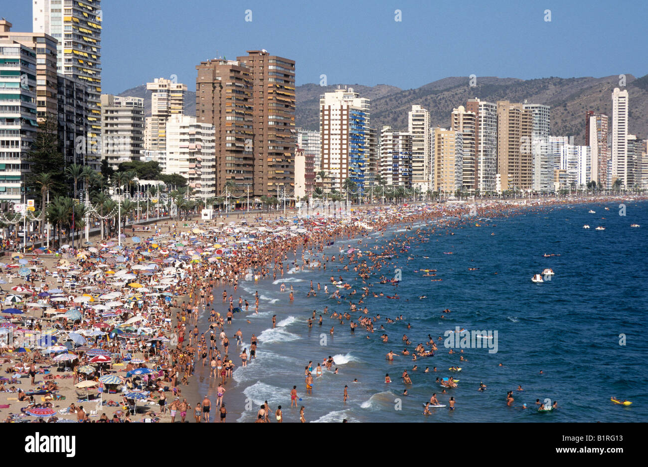 Plage de Playa Levante au milieu de l'été, Benidorm, Costa Blanca, Espagne, Europe Banque D'Images