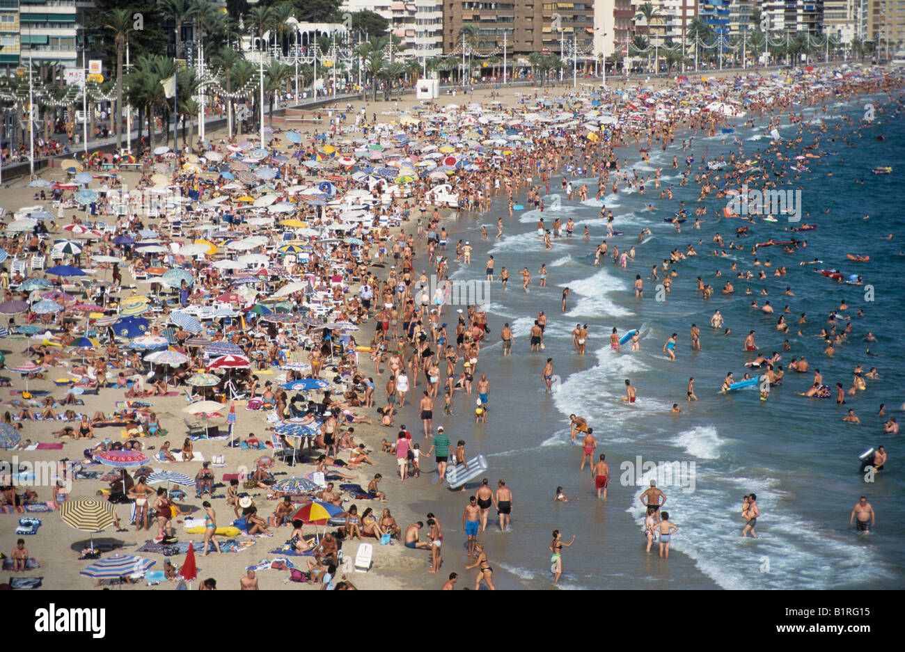 Plage de Playa Levante au milieu de l'été, Benidorm, Costa Blanca, Espagne, Europe Banque D'Images
