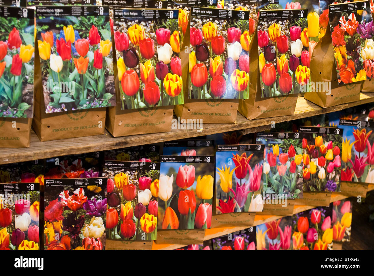 Bulbes de tulipes, marché aux fleurs flottant, canal Singel, Amsterdam,  Pays-Bas, Europe Photo Stock - Alamy