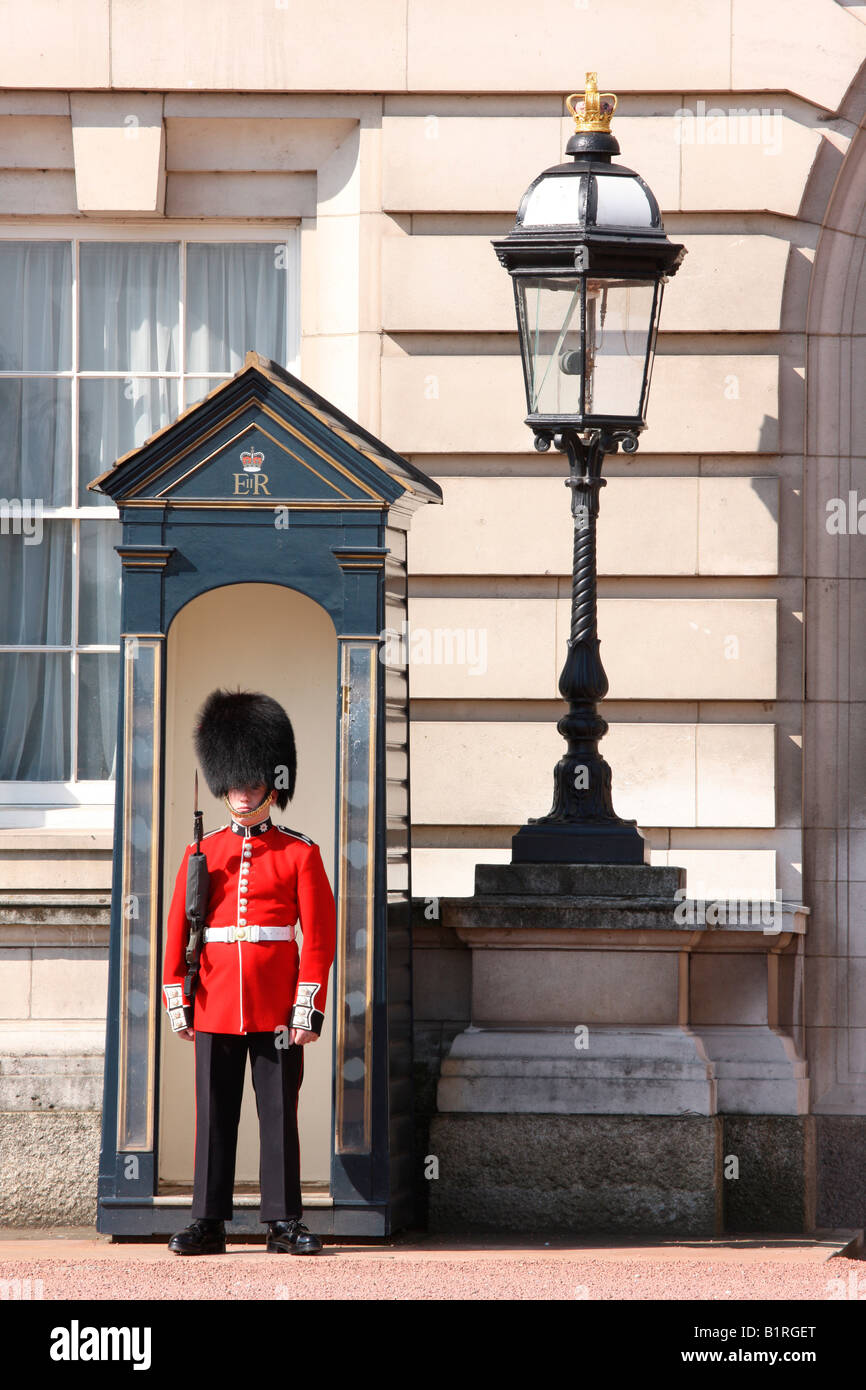 Garde royale devant le palais de Buckingham, Londres, Angleterre, Grande-Bretagne, Europe Banque D'Images