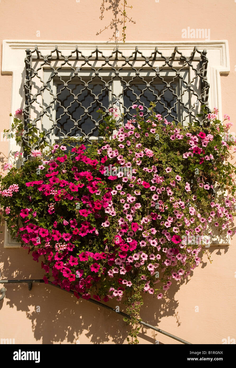 Une fenêtre avec des décorations de fleurs suspendus, Guild Hall et fenêtre ornement, Greding, Greding, Bavaria, Germany, Europe Banque D'Images
