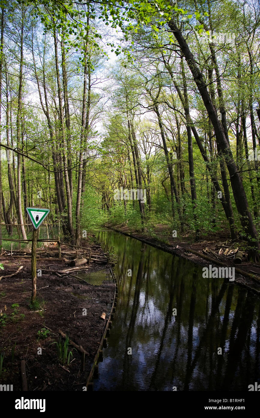 Réserve naturelle, forêt, printemps, l'eau, arbres, sign Banque D'Images