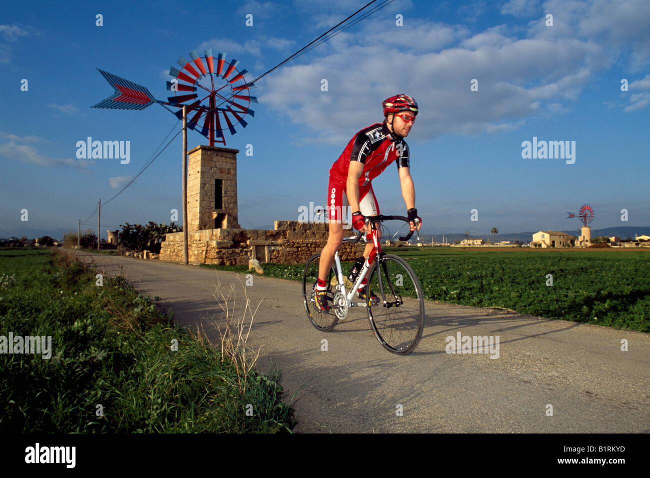 Vélo de course sur route, Llucmajor, Majorque, Espagne Banque D'Images