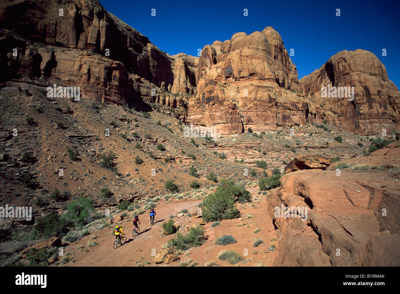 Mountain biker, Moab, Pritchett Canyon, Utah, USA Banque D'Images