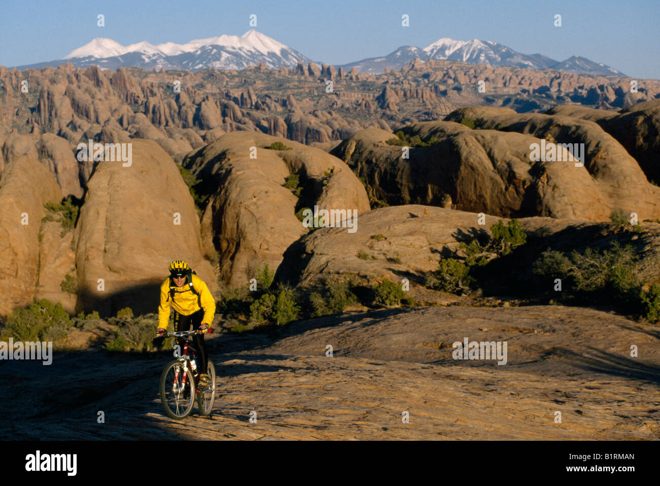 Vtt, parcours araignée Poison Slickrock, Moab, Utah, USA Banque D'Images