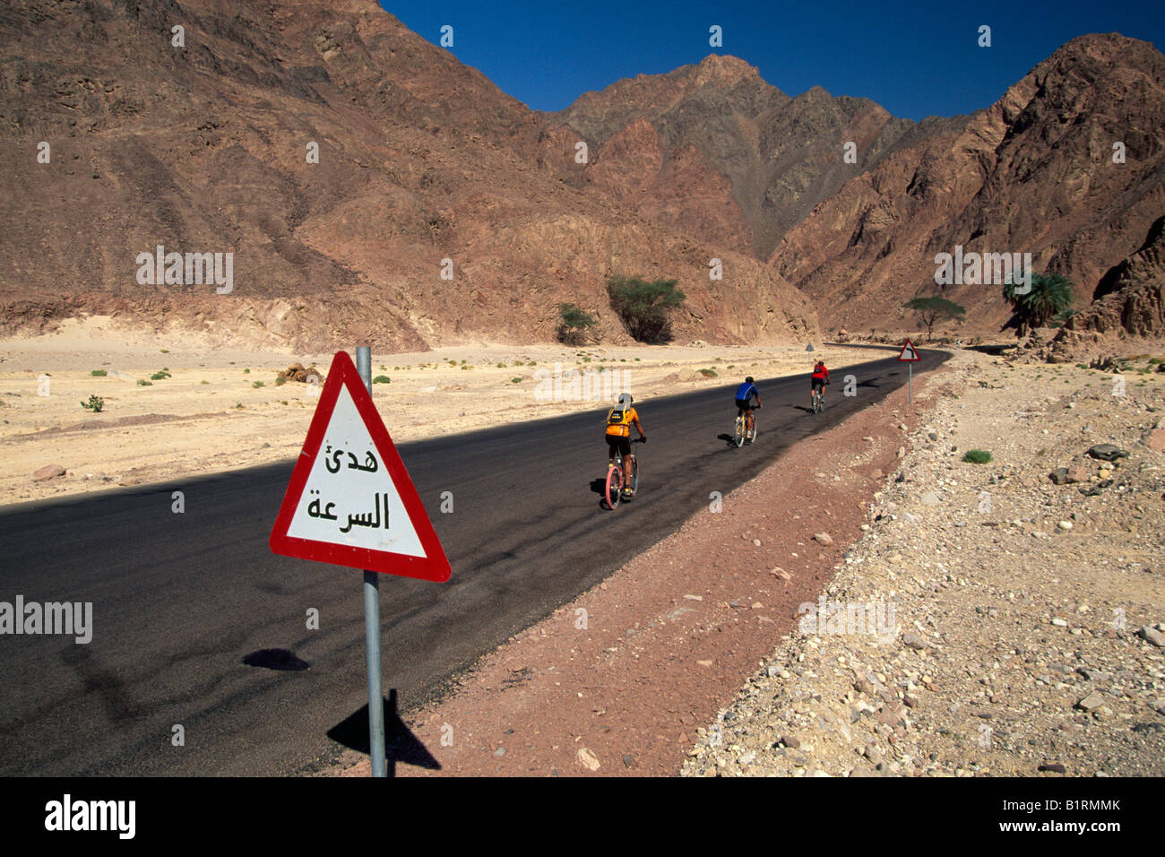 Mountain biker, Sinaï, Égypte Banque D'Images