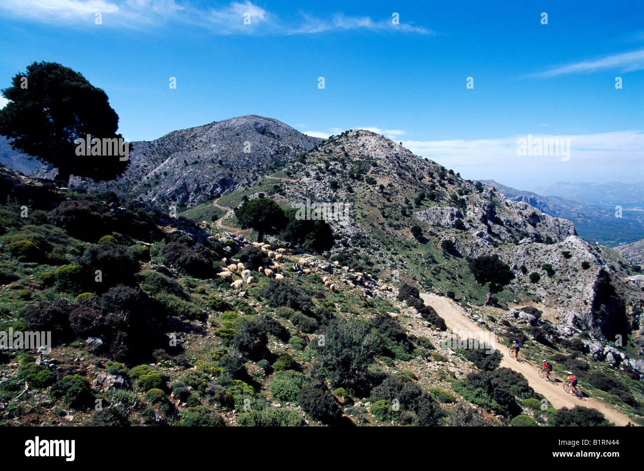 Chaîne De Montagnes De Lida Crète Grèce Banque Dimages