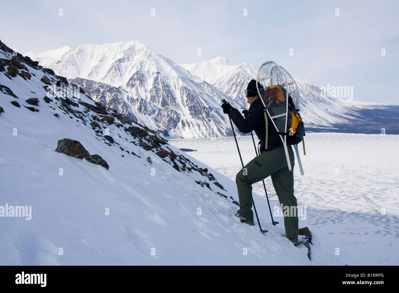 Randonnées en montagne en raquettes, Réserve de parc national Kluane, trône du roi, le lac Kathleen, Territoire du Yukon, Canada, Amérique du Nord Banque D'Images